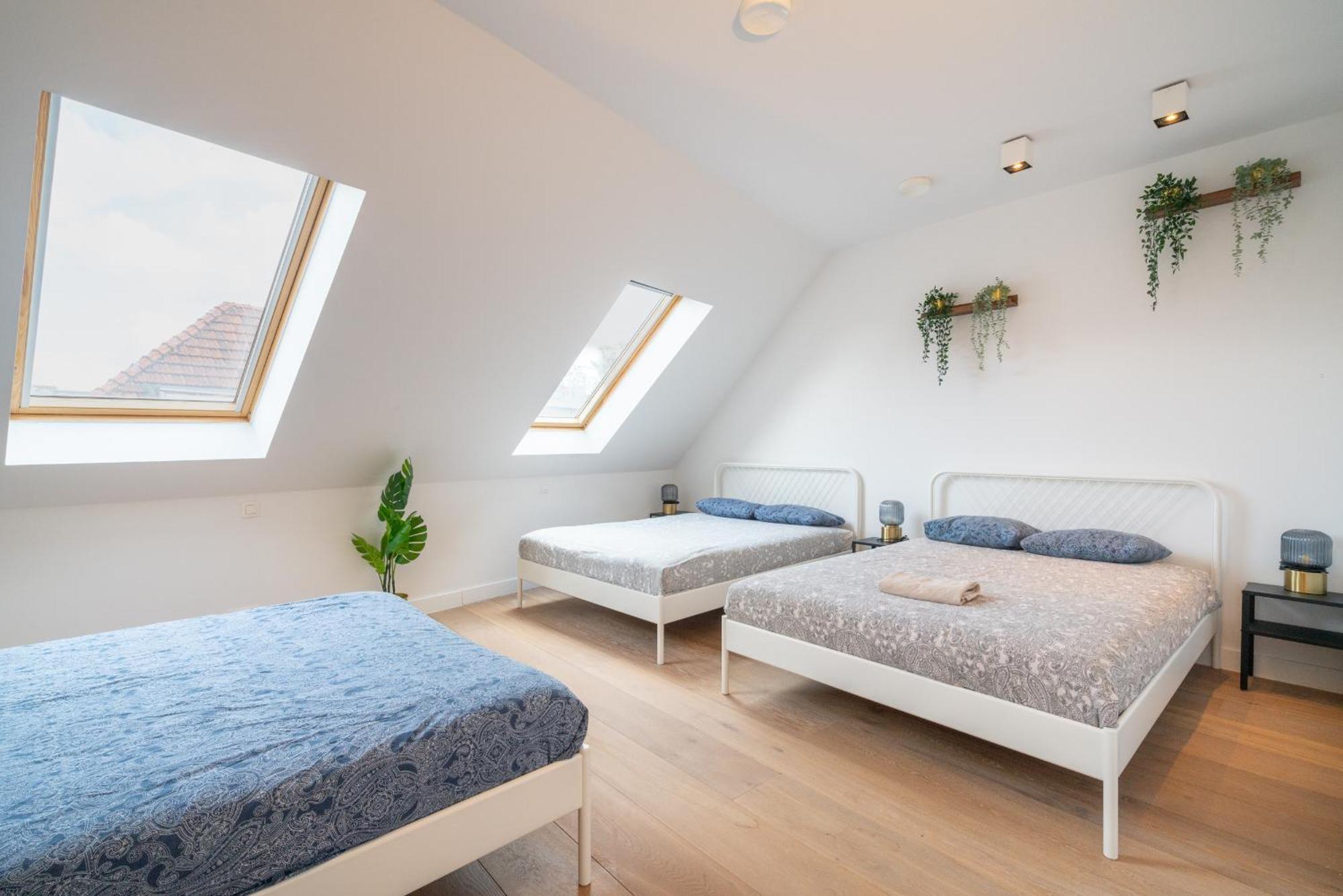 Light House Lodge. Apartment In Center Of แอนต์เวิร์ป ภายนอก รูปภาพ