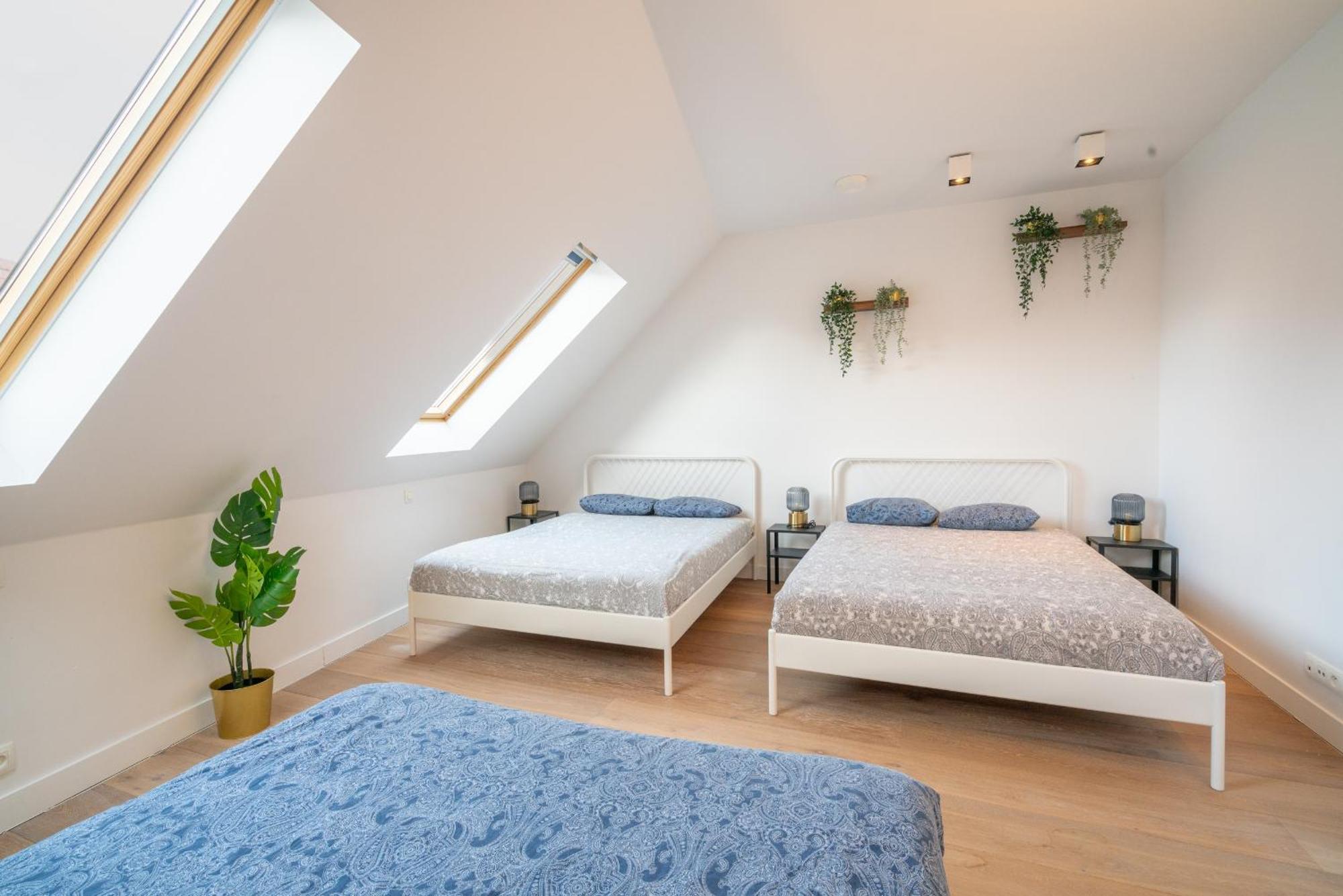Light House Lodge. Apartment In Center Of แอนต์เวิร์ป ภายนอก รูปภาพ